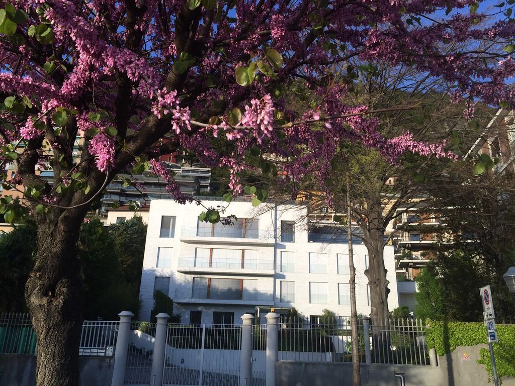 Villa Bianca Como Rum bild